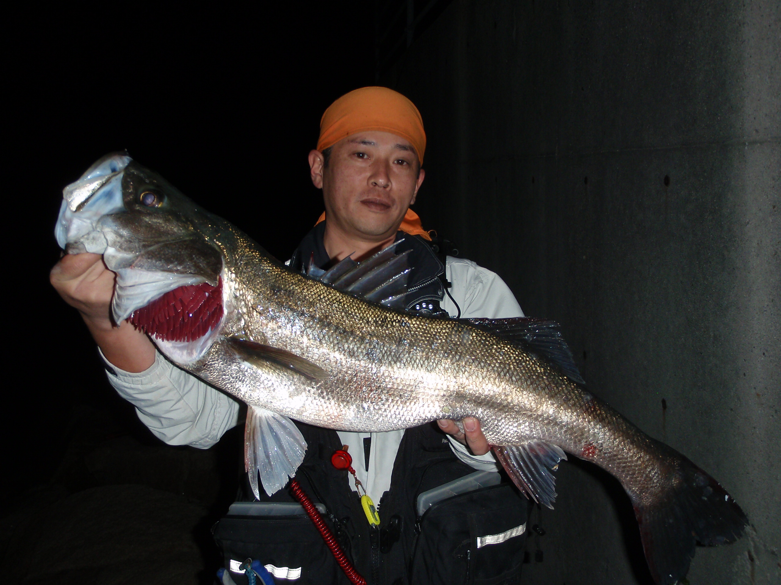 富山のランカーシーバス 105cm 爆釣速報の90up達成者ファイル 富山のランカーシーバス 105cm 爆釣速報の90up達成者ファイル