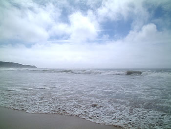 快適海水浴のススメ