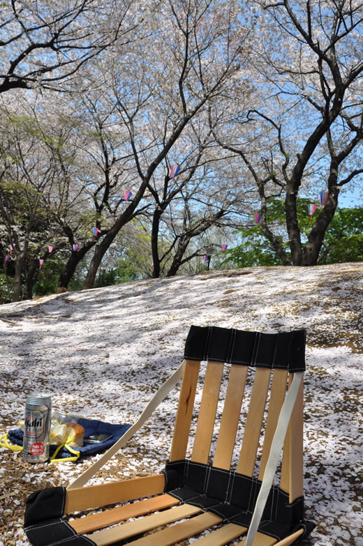 花散らしの雨とガンオクロック