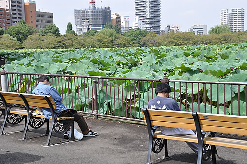 都民の日は上野動物園