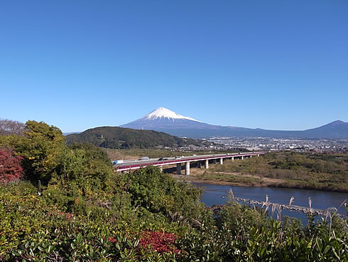 そうだ！生シラスを食べよう