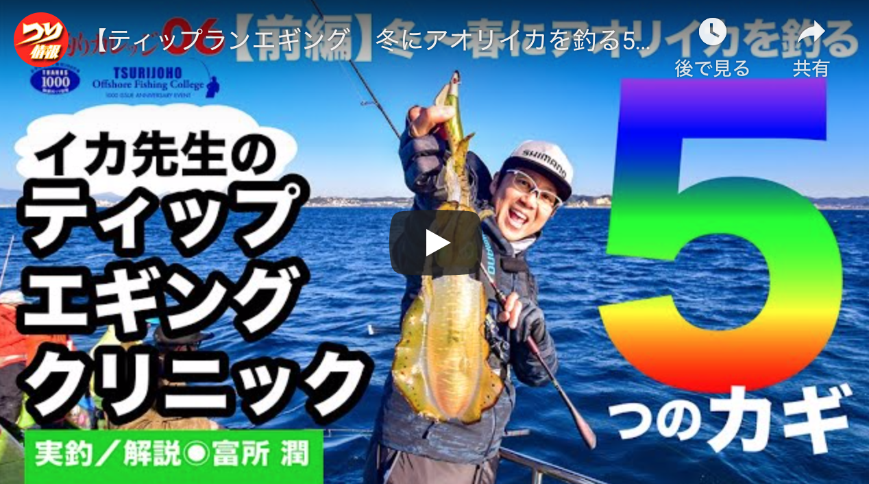 鮫 素晴らしさ 酔った 関東 冬 エギング Brichaiti Org