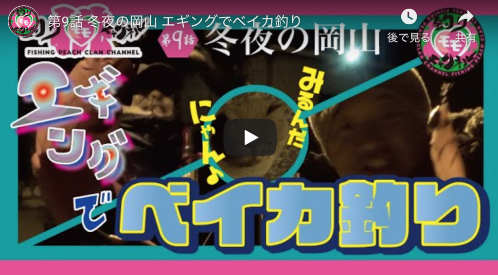 第9話 冬夜の岡山 エギングでベイカ釣り アオリイカエギングの烏賊速報