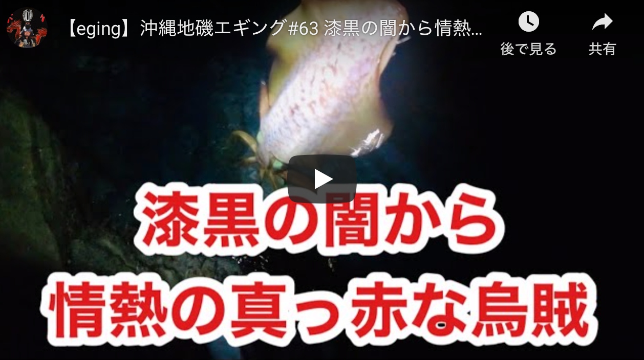 Eging 沖縄地磯エギング 漆黒の闇から情熱の真っ赤な烏賊があらわれた アオリイカエギングの烏賊速報