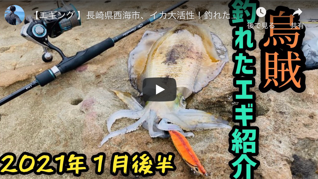 エギング 長崎県西海市 イカ大活性 釣れたエギ紹介 21年１月後半 アオリイカエギングの烏賊速報