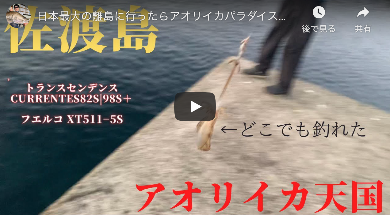 日本最大の離島に行ったらアオリイカパラダイスだった アオリイカエギングの烏賊速報 日本最大の離島に行ったらアオリイカパラダイスだった アオリイカエギングの烏賊速報