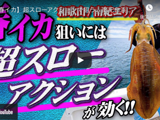 コンプリート 熱海 アオリイカ 21 熱海 アオリイカ 21 Irasujozqfm5 コンプリート 熱海 アオリイカ 21 熱海 アオリイカ 21 Irasujozqfm5