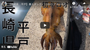 春エギング 福井 親アオリイカ獲れました アオリイカエギングの烏賊速報 春エギング 福井 親アオリイカ獲れました アオリイカエギングの烏賊速報