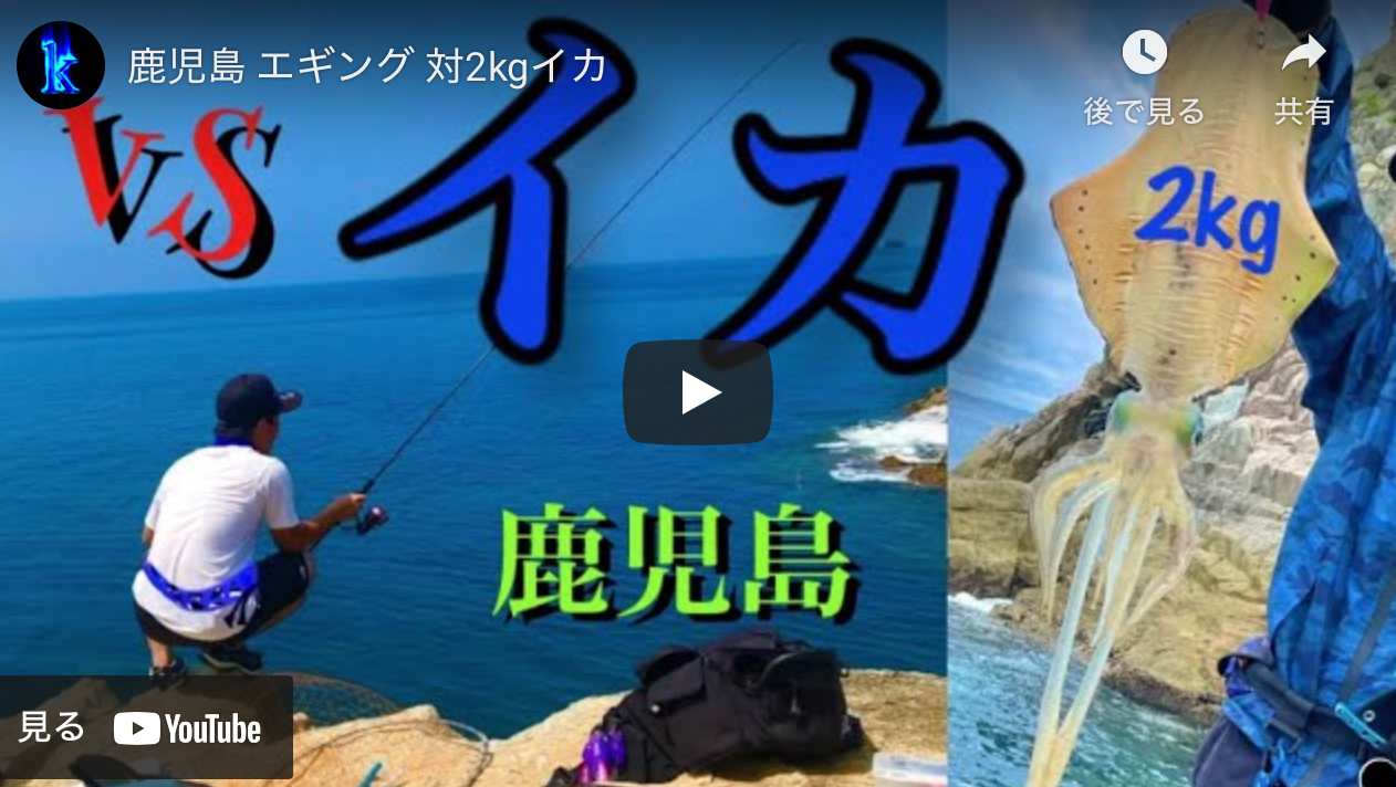 鹿児島 エギング 対2kgイカ アオリイカエギングの烏賊速報 鹿児島 エギング 対2kgイカ アオリイカエギングの烏賊速報