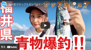 春エギング 福井 親アオリイカ獲れました アオリイカエギングの烏賊速報 春エギング 福井 親アオリイカ獲れました アオリイカエギングの烏賊速報