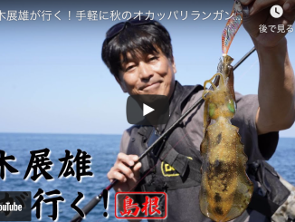 エギング 烏賊速報 エギング 烏賊速報