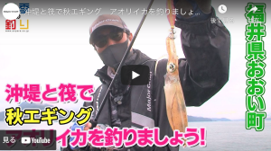 春エギング 福井 親アオリイカ獲れました アオリイカエギングの烏賊速報 春エギング 福井 親アオリイカ獲れました アオリイカエギングの烏賊速報