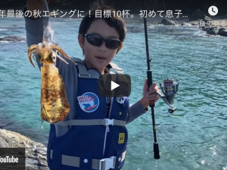 烏賊速報 アオリイカを釣るエギング情報サイト