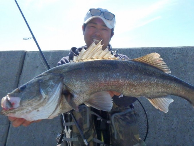 僕のGW2日目 シーバス釣り、ソルトルアーフィッシングの爆釣速報