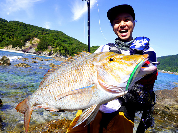 甑島タマン作戦 ３ シーバス釣り ソルトルアーフィッシングの爆釣速報