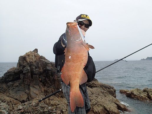 スジアラ狙いで鹿児島県甑島へ シーバス釣り ソルトルアーフィッシングの爆釣速報