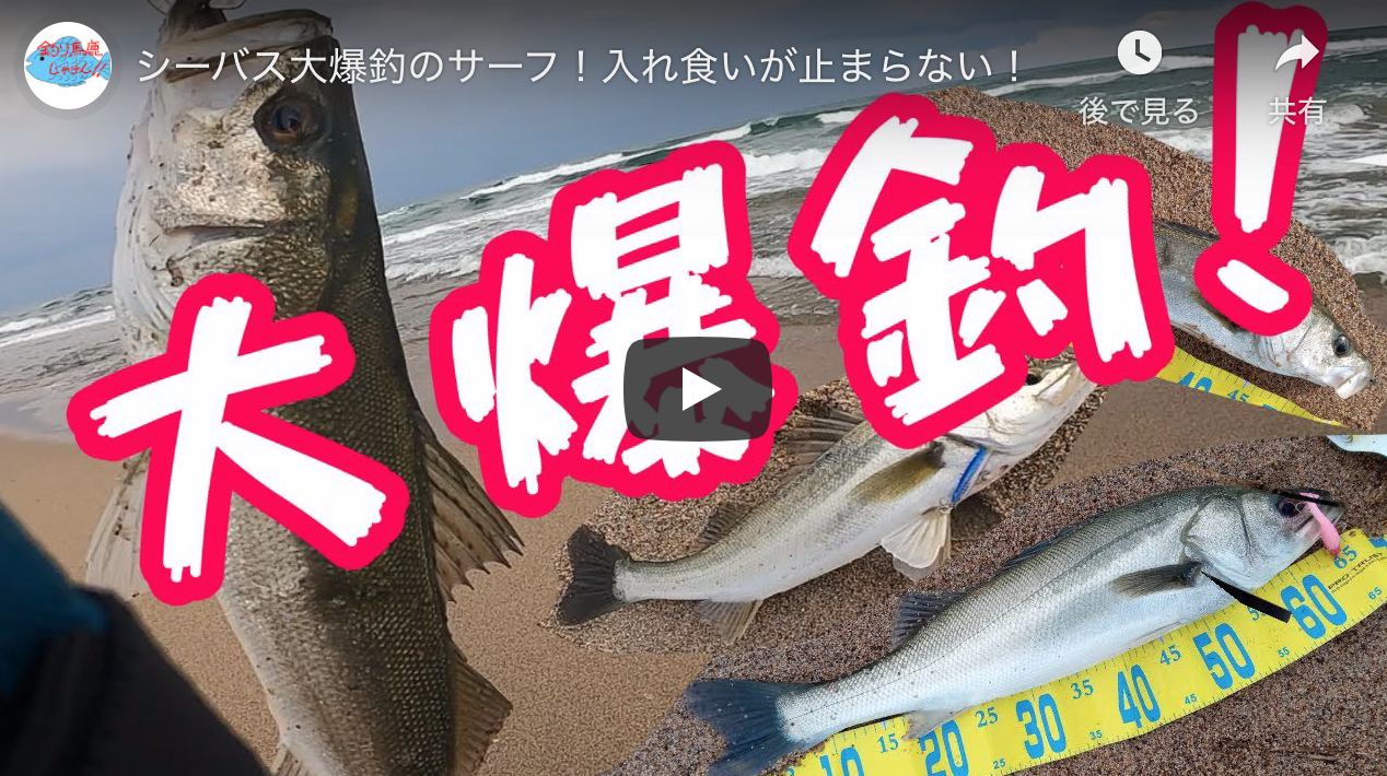 シーバス大爆釣のサーフ 入れ食いが止まらない シーバス釣り ソルトルアーフィッシングの爆釣速報 シーバス大爆釣のサーフ 入れ食いが止まらない シーバス釣り ソルトルアーフィッシングの爆釣速報