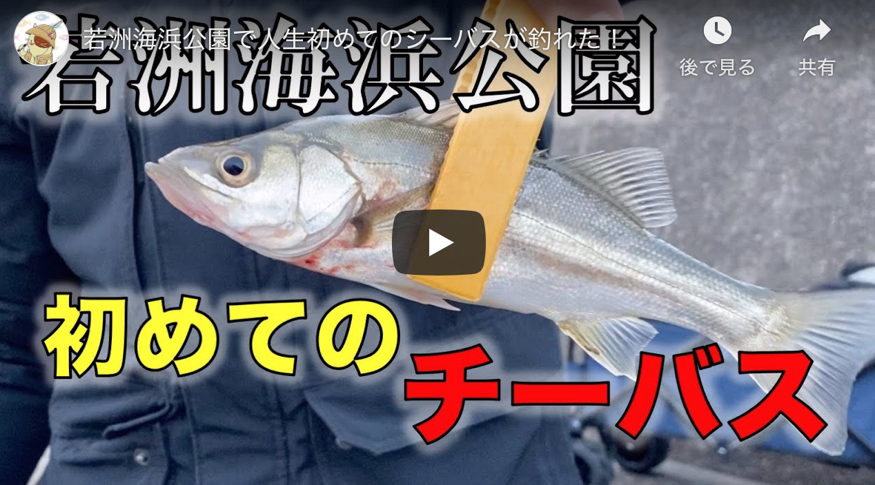 若洲海浜公園で人生初めてのシーバスが釣れた シーバス釣り ソルトルアーフィッシングの爆釣速報 若洲海浜公園で人生初めてのシーバスが釣れた シーバス釣り ソルトルアーフィッシングの爆釣速報