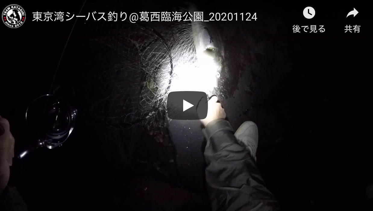 東京湾シーバス釣り 葛西臨海公園 1124 シーバス釣り ソルトルアーフィッシングの爆釣速報 東京湾シーバス釣り 葛西臨海公園 1124 シーバス釣り ソルトルアーフィッシングの爆釣速報