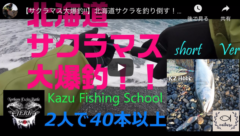 サクラマス大爆釣 北海道サクラを釣り倒す Short Ver シーバス釣り ソルトルアーフィッシングの爆釣速報