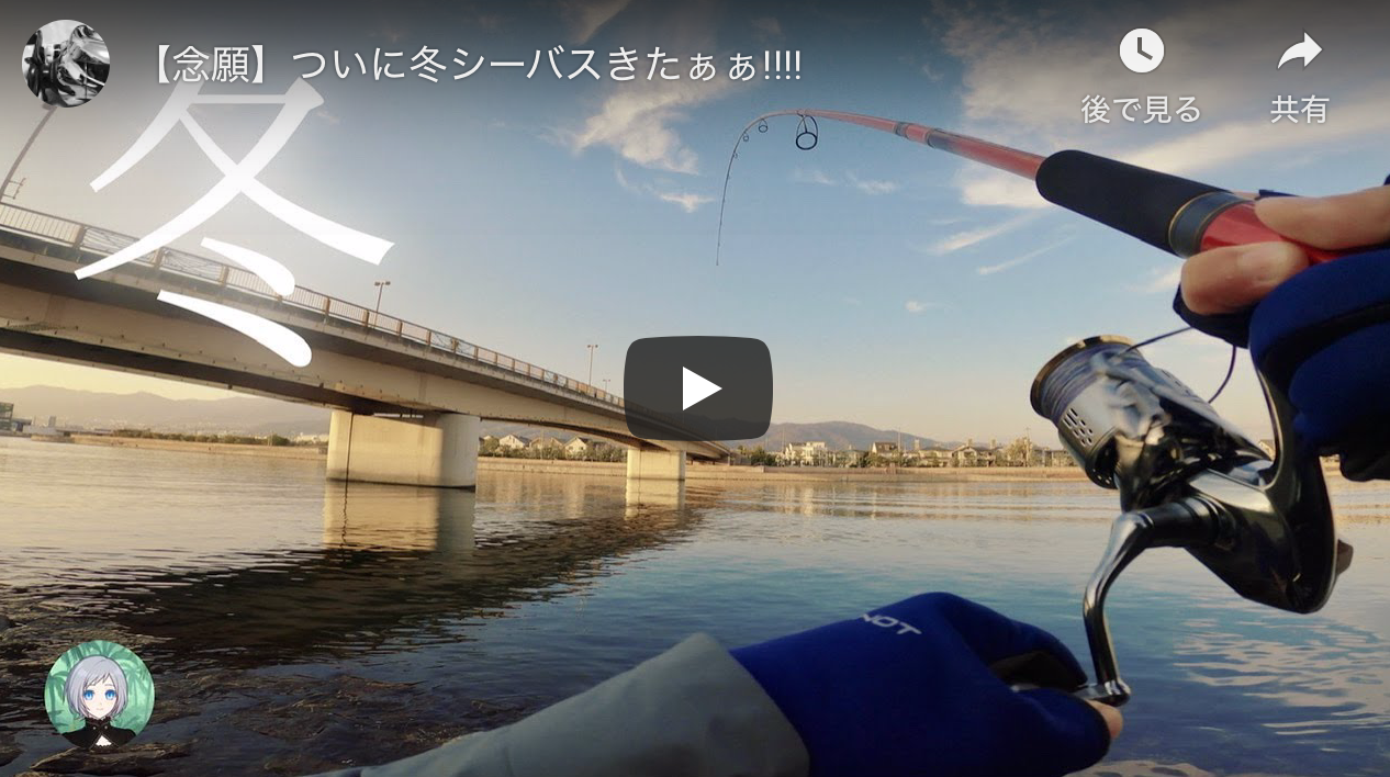 念願 ついに冬シーバスきたぁぁ シーバス釣り ソルトルアーフィッシングの爆釣速報 念願 ついに冬シーバスきたぁぁ シーバス釣り ソルトルアーフィッシングの爆釣速報