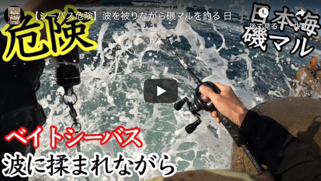 シーバス危険 波を被りながら磯マルを釣る 日本海 ベイトシーバス シーバス釣り ソルトルアーフィッシングの爆釣速報 シーバス危険 波を被りながら磯マルを釣る 日本海 ベイトシーバス シーバス釣り ソルトルアーフィッシングの爆釣速報
