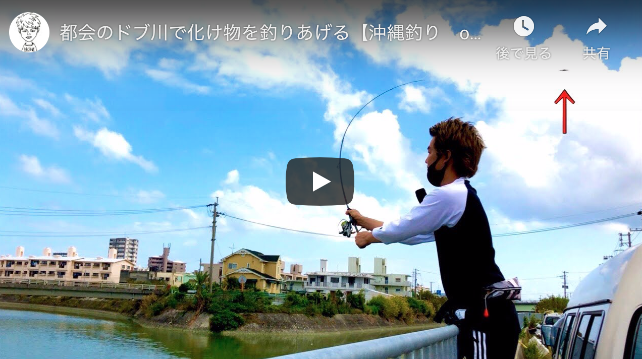 都会のドブ川で化け物を釣りあげる 沖縄釣り Okinawa Fishing 沖縄ルアーフィッシング シーバス釣り ソルトルアーフィッシングの爆釣速報 都会のドブ川で化け物を釣りあげる 沖縄釣り Okinawa Fishing 沖縄ルアーフィッシング シーバス釣り ソルトルアーフィッシングの爆釣速報
