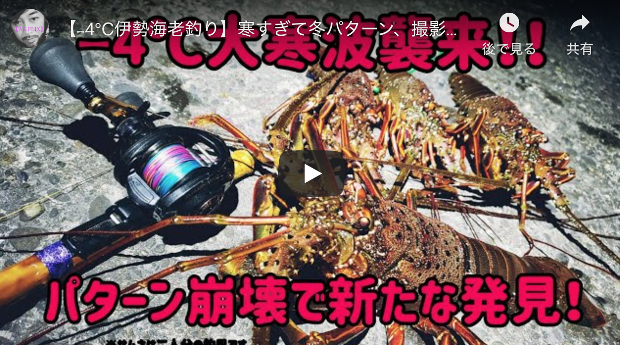 4 伊勢海老釣り 寒すぎて冬パターン 撮影機材崩壊 でも新たな発見ありました シーバス釣り ソルトルアーフィッシングの爆釣速報 4 伊勢海老釣り 寒すぎて冬パターン 撮影機材崩壊 でも新たな発見ありました シーバス釣り ソルトルアーフィッシングの爆釣速報