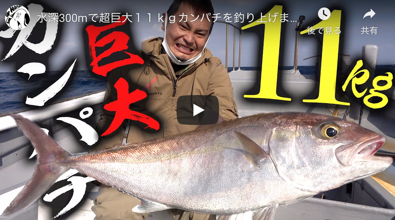 水深300mで超巨大１１ｋｇカンパチを釣り上げました 一泊二日釣り強化合宿 1 シーバス釣り ソルトルアーフィッシングの爆釣速報