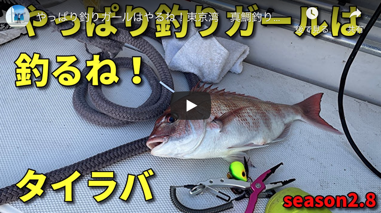やっぱり釣りガールはやるね 東京湾 真鯛釣り タイラバ釣り シーバス釣り ソルトルアーフィッシングの爆釣速報 やっぱり釣りガールはやるね 東京湾 真鯛釣り タイラバ釣り シーバス釣り ソルトルアーフィッシングの爆釣速報