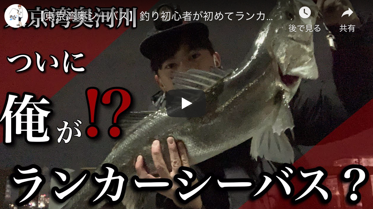 東京湾奥シーバス 釣り初心者が初めてランカーシーバス ビックリ シーバス釣り ソルトルアーフィッシングの爆釣速報