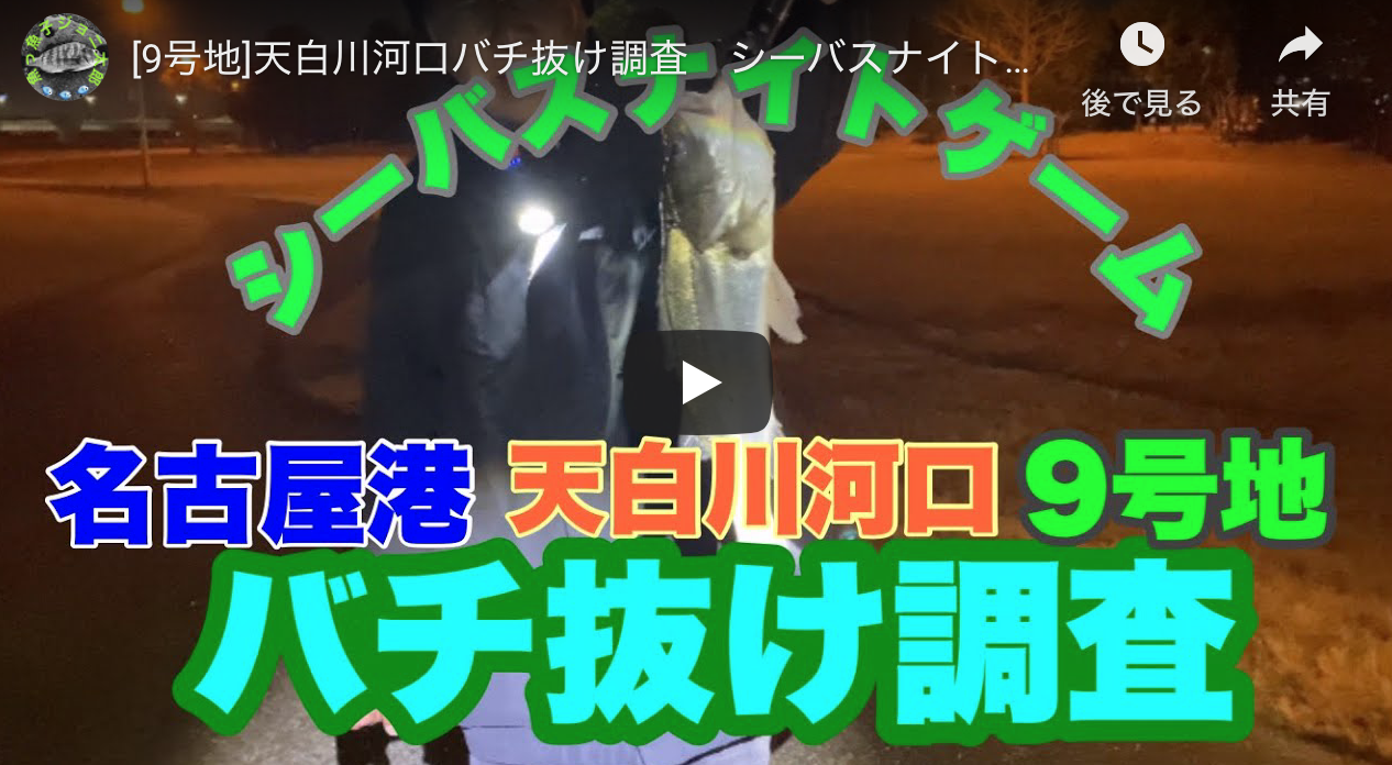 9号地 天白川河口バチ抜け調査 シーバスナイトゲーム 名古屋港 シーバス釣り ソルトルアーフィッシングの爆釣速報 9号地 天白川河口バチ抜け調査 シーバスナイトゲーム 名古屋港 シーバス釣り ソルトルアーフィッシングの爆釣速報
