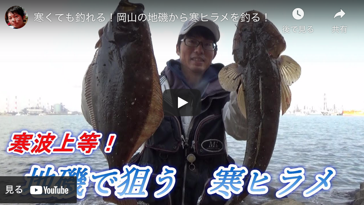寒くても釣れる 岡山の地磯から寒ヒラメを釣る シーバス釣り ソルトルアーフィッシングの爆釣速報 寒くても釣れる 岡山の地磯から寒ヒラメを釣る シーバス釣り ソルトルアーフィッシングの爆釣速報