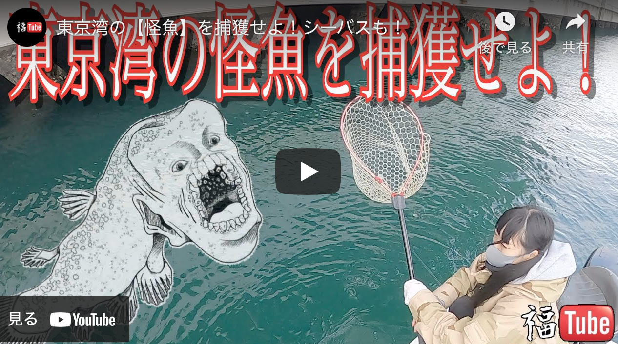 東京湾の 怪魚 を捕獲せよ シーバスも シーバス釣り ソルトルアーフィッシングの爆釣速報