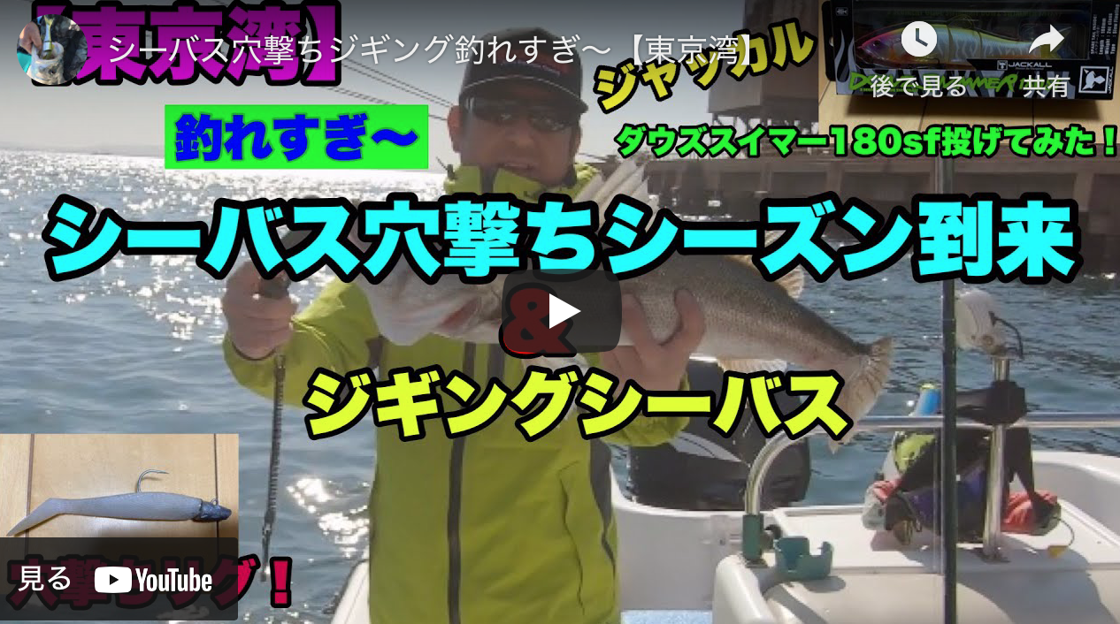 シーバス穴撃ちジギング釣れすぎ 東京湾 シーバス釣り ソルトルアーフィッシングの爆釣速報