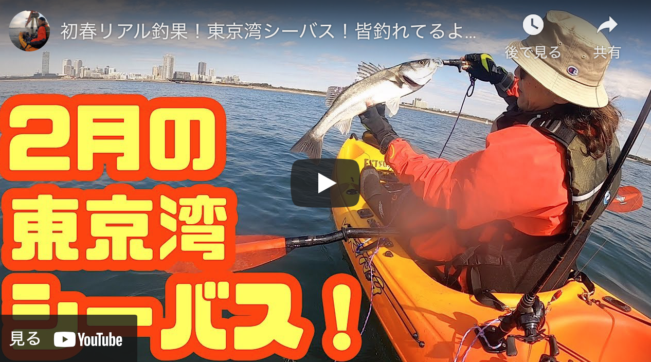 初春リアル釣果 東京湾シーバス 皆釣れてるよ カヤックフィッシング シーバス釣り ソルトルアーフィッシングの爆釣速報
