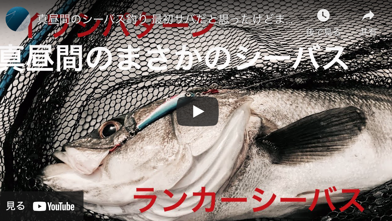 真昼間のシーバス釣り 最初サバだと思ったけどまさかのランカー シーバス釣り ソルトルアーフィッシングの爆釣速報 真昼間のシーバス釣り 最初サバだと思ったけどまさかのランカー シーバス釣り ソルトルアーフィッシングの爆釣速報