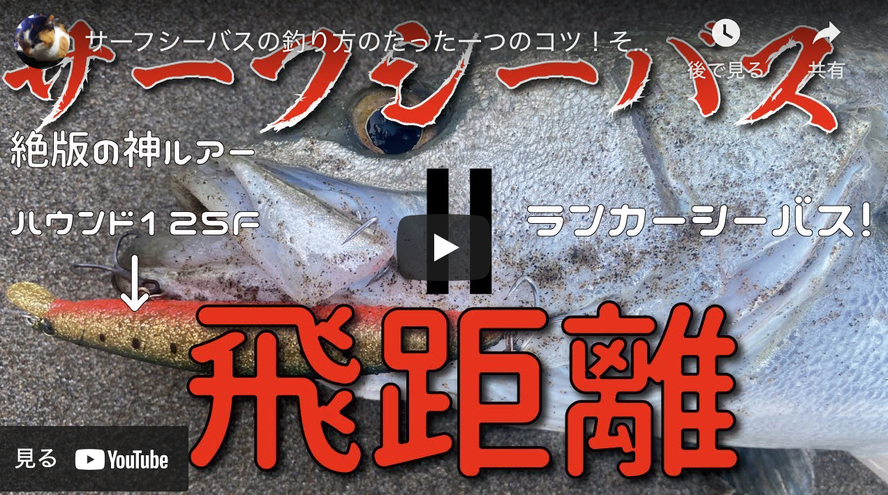 サーフシーバスの釣り方のたった一つのコツ それは飛距離 シーバスが居る時に遠くに投げれば誰でも釣れる ランカーも釣れました シーバス 釣り ソルトルアーフィッシングの爆釣速報