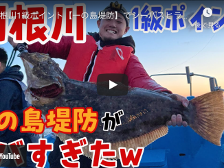 ヒラメ 爆釣速報 ヒラメ 爆釣速報
