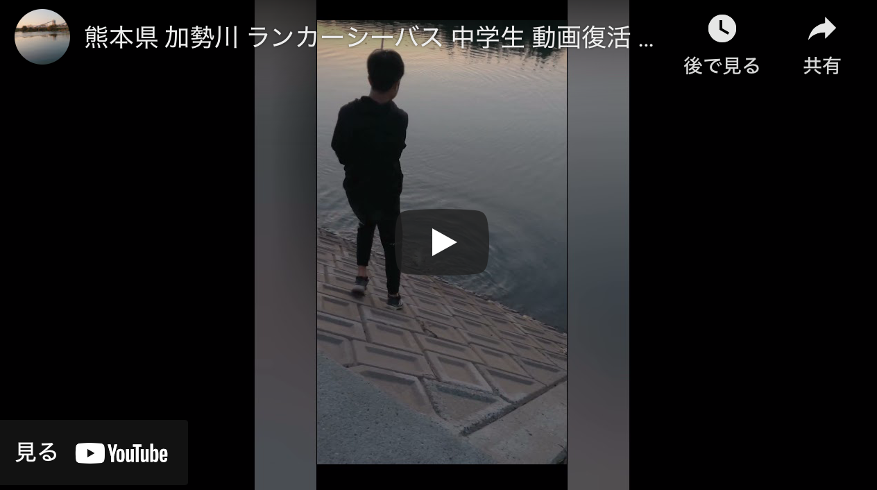 熊本県 加勢川 ランカーシーバス 中学生 動画復活 シーバス シーバス釣り ソルトルアーフィッシングの爆釣速報 熊本県 加勢川 ランカーシーバス 中学生 動画復活 シーバス シーバス釣り ソルトルアーフィッシングの爆釣速報