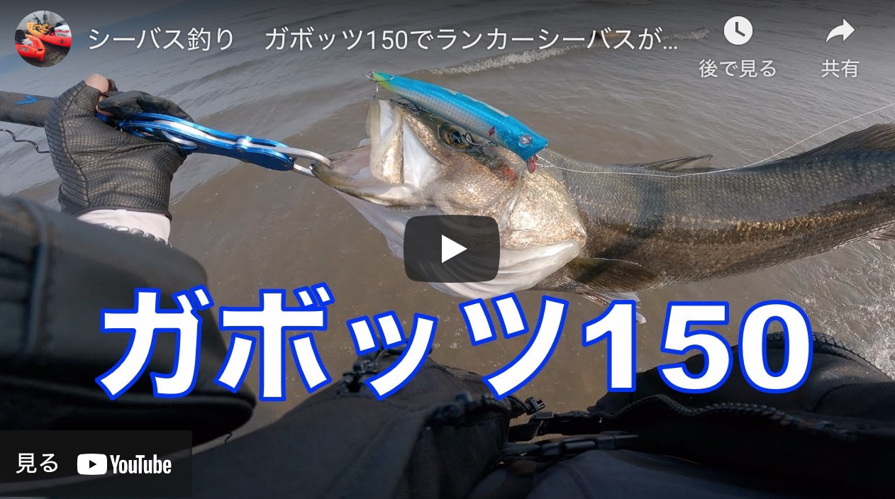 シーバス釣り ガボッツ150でランカーシーバスが釣れた シーバス釣り ソルトルアーフィッシングの爆釣速報 シーバス釣り ガボッツ150でランカーシーバスが釣れた シーバス釣り ソルトルアーフィッシングの爆釣速報