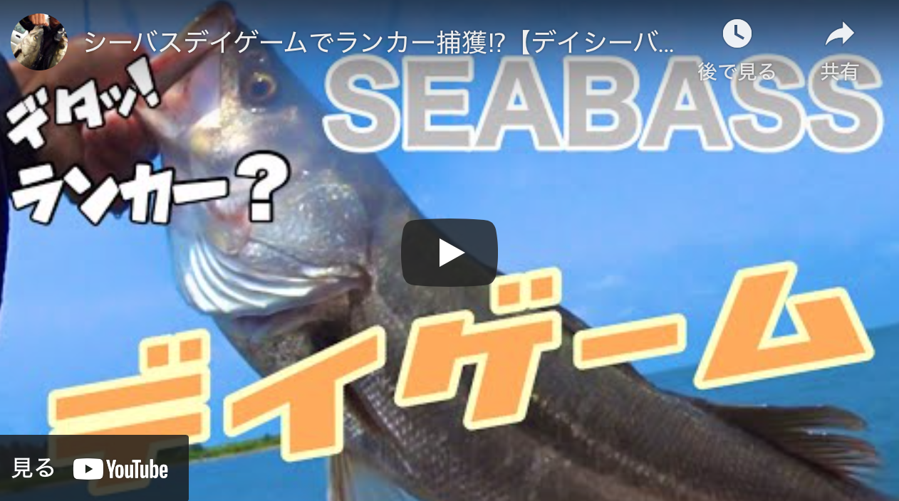シーバスデイゲームでランカー捕獲 デイシーバス シーバス釣り ソルトルアーフィッシングの爆釣速報 シーバスデイゲームでランカー捕獲 デイシーバス シーバス釣り ソルトルアーフィッシングの爆釣速報