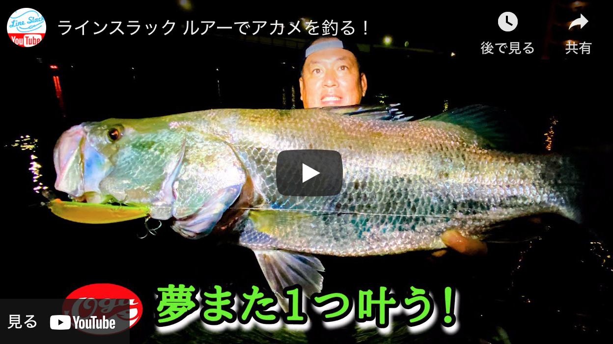 高知のアカメ シーバス釣り ソルトルアーフィッシングの爆釣速報